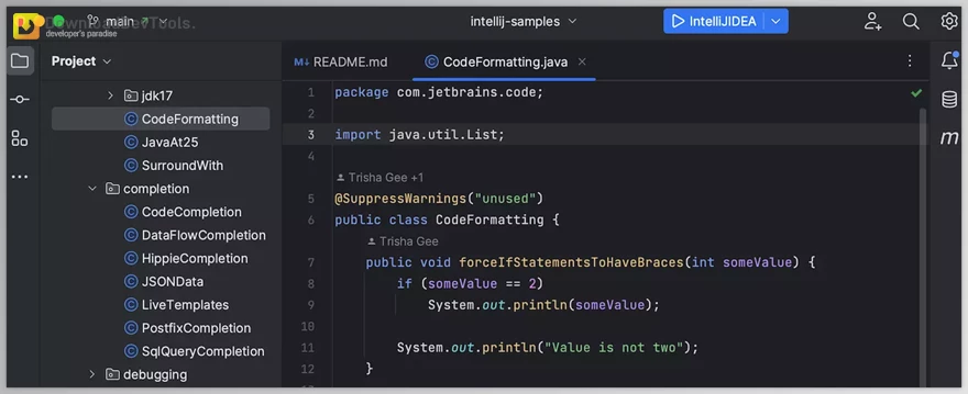 JetBrains IntelliJ IDEA