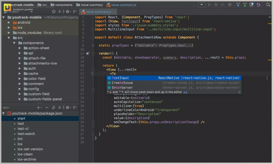 JetBrains WebStorm