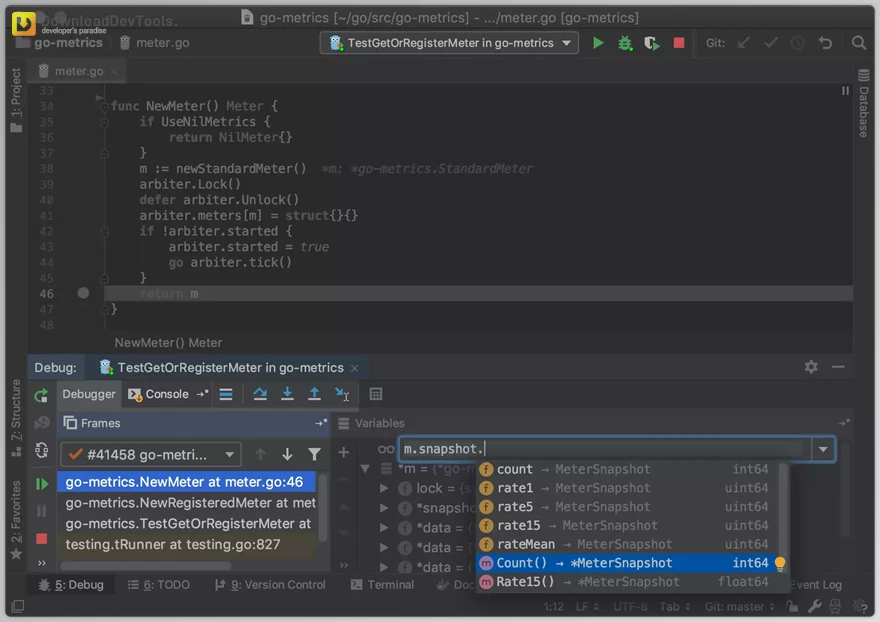 JetBrains GoLand