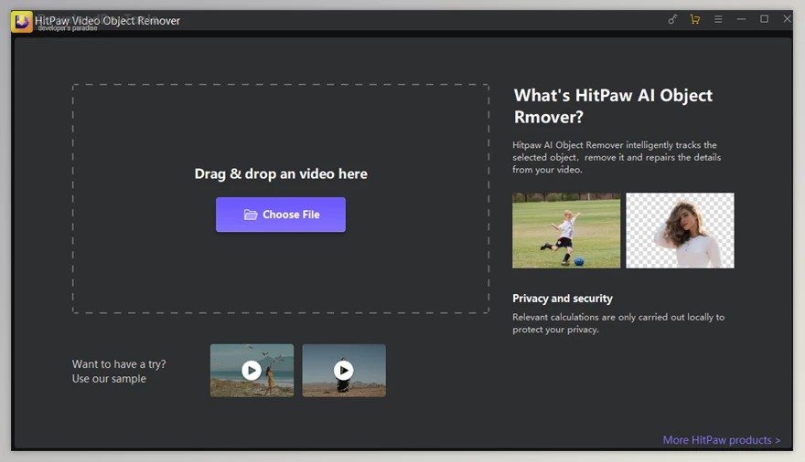 HitPaw Video Object Remover