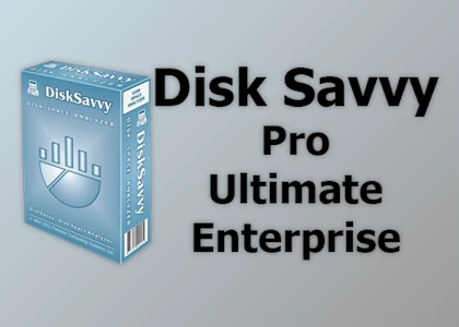 Free Download Disk Savvy Pro / Ultimate / Enterprise v17.3.14 + Activator