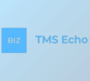 Download TMS Echo v1.12.0.0 (17 Sep 2025) for Delphi XE2-13 Florence Full Source