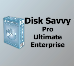 Free Download Disk Savvy Pro / Ultimate / Enterprise v17.3.14 + Activator