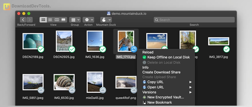downloaddevtools
