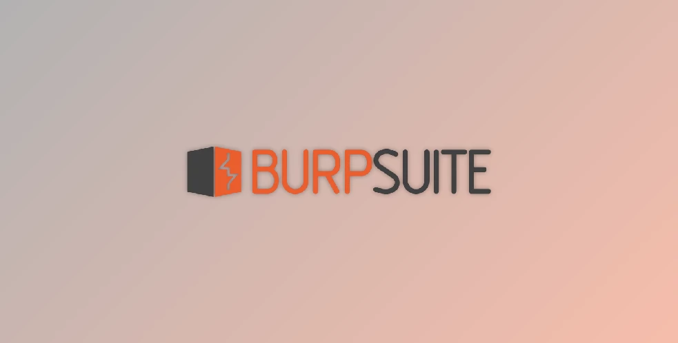 Download Burp Suite Professional v2025.10.5 + CRACK