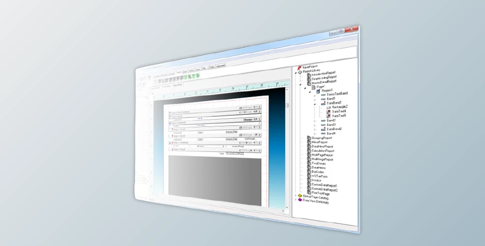 Download Nevrona Rave Reports 2025 v25.0.0 for Delphi 7-13 Florence Retail