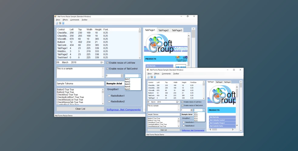Download SoftGroup .Net Forms Resize v12.5 (January 2025) Retail + License Key