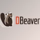 Download DBeaver Ultimate Edition v25.2.0 (08 Sep 2025) for Win & Linux & macOS + Keygen