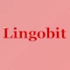 Free Download Lingobit Localizer Enterprise v9.0.8445 + CRACK