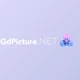 Download GdPicture.NET Document Imaging SDK Ultimate v14.3.8 (12 Jun 2025) + CRACK & License Key