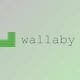 Download Wallaby.js v1.0.304 for VSCode + License Key
