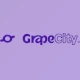 Download GrapeCity ActiveReportsJS v3.1.1 (27 Jun 2022) Designer + CRACK
