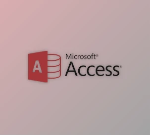 Download CData Drivers for Access v25.0.9335 (23 Jul 2025) All Platforms + License Key