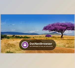 TeamDev DotNetBrowser v1.21.3 (11 Feb 2020) + Patcher