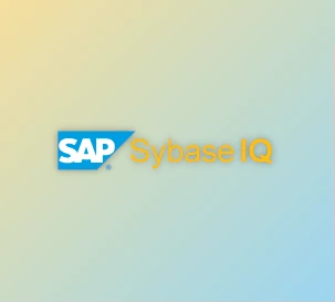 Download CData Drivers for Sybase IQ v24.0.9175 (13 Feb 2025) All Platforms + License Key