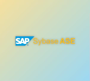 Download CData Drivers for Sybase v24.0.9175 (13 Feb 2025) All Platforms + License Key