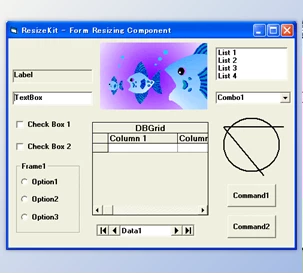 Download ResizeKit2 for Delphi 7-12 Athens + CRACK