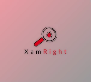 Download Critical Hit Tech XamRight v3.12 Pre-Activated