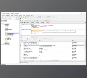 Download NoSQL Manager for MongoDB v5.8.2.0 (17 Nov 2020) + CRACK