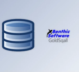 Download Benthic Software GoldSqall v2.2.222 (x86 & x64) + License Key