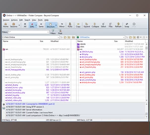 Download Beyond Compare Pro v4.3.3 build 24545 for Rad Studio Seattle & Berlin & Tokyo & Rio & Sydney + License Key