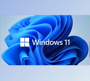 Free Download Microsoft Windows 11 All Editions v24H2 Sep 2025 + Activators