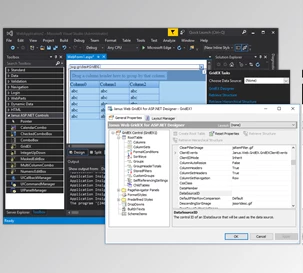 Download Janus ASP.NET Server Controls v3.0.0.60 + Patcher