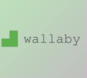 Download Wallaby.js v1.0.304 for VSCode + License Key