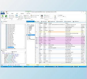 Download SQL Database Studio Pro v3.6.2 + CRACK