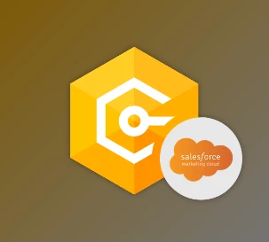 Download Devart dotConnect for Salesforce Marketing Cloud Professional v2.3.290 (29 Jul 2025) + Patcher