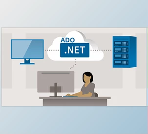 CrystalNet ADO.Net VCL for Delphi XE-10.4 Sydney v4.0.5.0 + CRACK