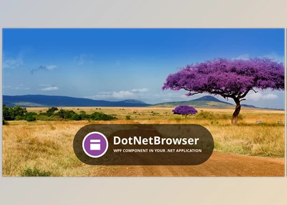 TeamDev DotNetBrowser v1.21.3 (11 Feb 2020) + Patcher