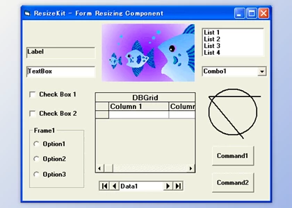 Download ResizeKit2 for Delphi 7-12 Athens + CRACK