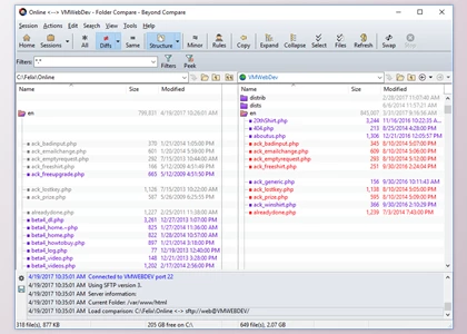 Download Beyond Compare Pro v4.3.3 build 24545 for Rad Studio Seattle & Berlin & Tokyo & Rio & Sydney + License Key