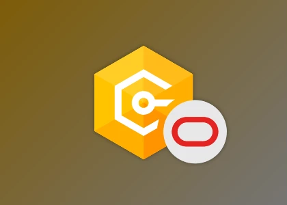 Download Devart dotConnect for Oracle Professional v10.4.290 (29 Jul 2025) + Patcher
