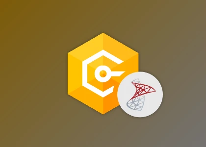 Download Devart dotConnect for SQL Server Professional v5.2.290 (29 Jul 2025) + Patcher