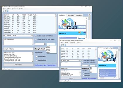 Download SoftGroup .Net Forms Resize v12.5 (January 2025) Retail + License Key