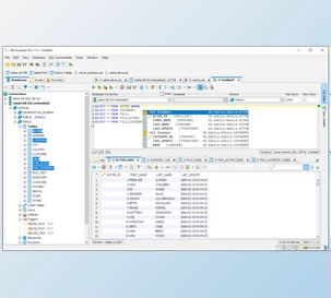 Download DbVisualizer Pro v25.2.5 (21 Oct 2025) for Win & Linux & macOS + Keygen