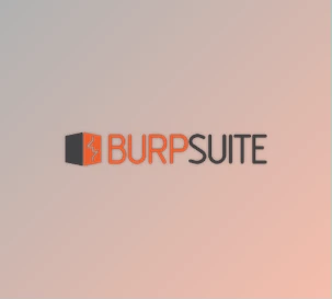 Download Burp Suite Professional v2025.9.5 + CRACK