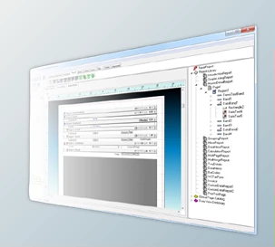 Download Nevrona Rave Reports 2025 v25.0.0 for Delphi 7-13 Florence Retail