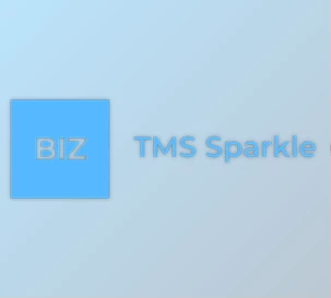 Download TMS Sparkle v3.33.0.0 (17 Sep 2025) for Delphi XE2-13 Florence Full Source