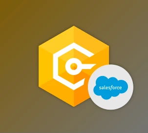Download Devart dotConnect for Salesforce Professional v5.3.290 (29 Jul 2025) + Patcher