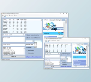 Download SoftGroup .Net Forms Resize v12.5 (January 2025) Retail + License Key