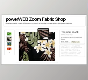 Download Dart PowerWEB Zoom for ASP.NET v1.0.5.5 + Keygen