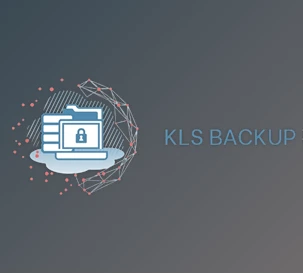 Free Download KLS Backup Professional 2025 v14.0.2.7 for Win x86 & x64 + Portable Edition + CRACK