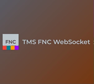 Download TMS FNC WebSocket v1.0.5.0 (12 Sep 2025) for Delphi & CB XE7-13 Florence Full Source