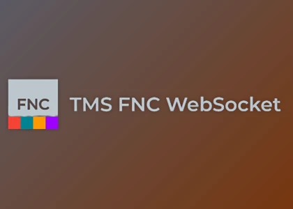 Download TMS FNC WebSocket v1.0.5.0 (12 Sep 2025) for Delphi & CB XE7-13 Florence Full Source