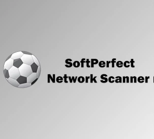 Download SoftPerfect Network Scanner v25.9 for Win x64 Multilingual + CRACK