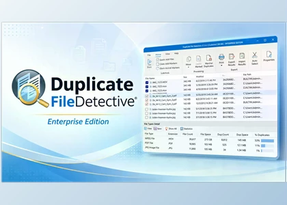 Download Duplicate File Detective v7.4.69 for Win x64 Enterprise Edition + Patch