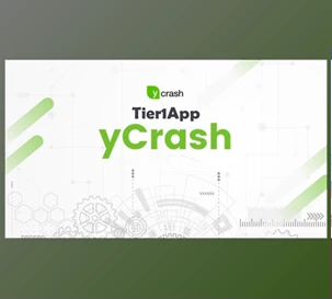 Download Tier1App yCrash v3.1 MultiOS + Keygen